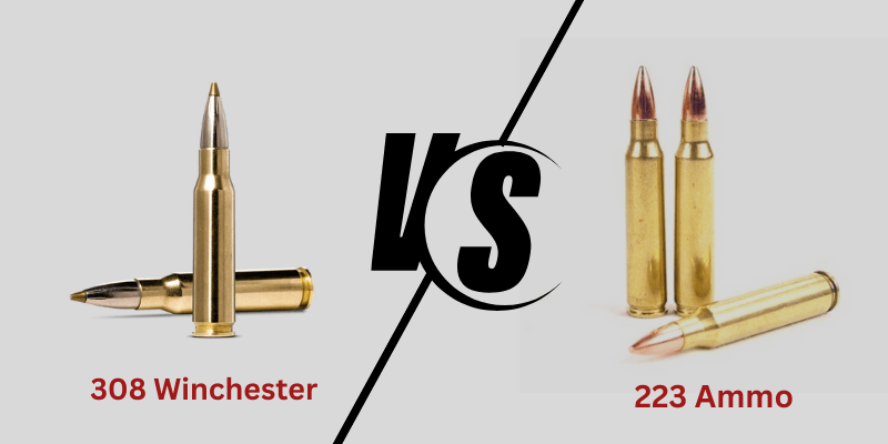 308-vs-223 : Know The Difference